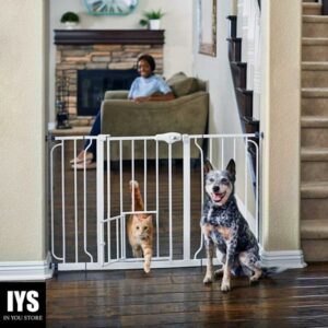 EveryYay in The Zone Steel Walk-Through Pet Gate, 29-50" W X 30" H