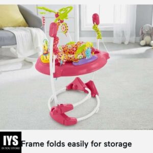 Fisher-Price Baby Bouncer Pink Petals Jumperoo Activity Center with Music and Lights