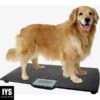 W.C Redmon Precision Digital Pet Scales, Large
