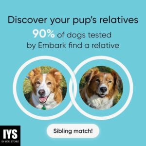 Embark Purebred Kit - Dog DNA Test - Health, Traits, Genetic Diversity Score (COI), Breed Confirmation