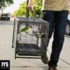 Prevue Pet Products Travel Carrier for Birds, Black 18.8"L x 14.9"W x 18.0"H