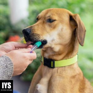 Embark Breed & Health Kit - Dog DNA Test - Discover Breed, Ancestry, Relative Finder, Genetic Health, Traits, COI