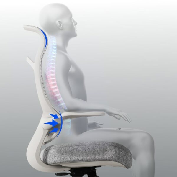 Flexispot Ergonomic Office Chair (C2) - Image 2
