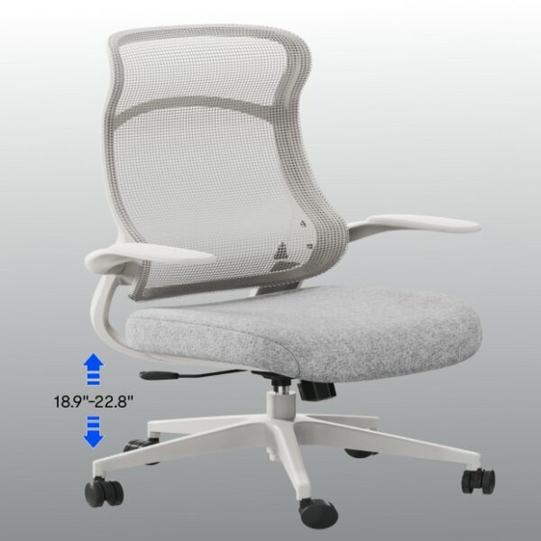 Flexispot Ergonomic Office Chair (C2) - White+Gray - Image 3