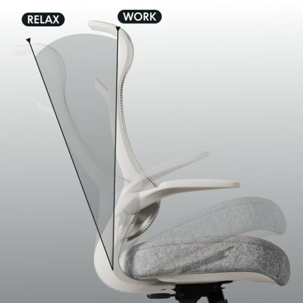 Flexispot Ergonomic Office Chair (C2) - White+Gray - Image 4
