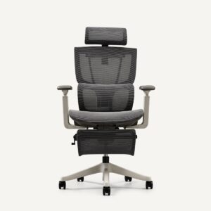 C7 Series Premium Ergo Office Chair (C7)