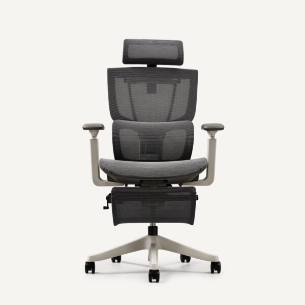 C7 Series Premium Ergo Office Chair (C7)