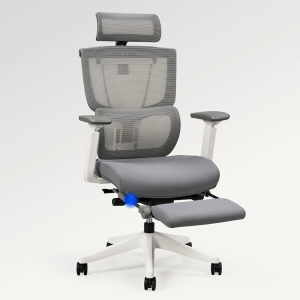 Flexispot Premium Ergo Office Chair (C7 Max) - Image 2