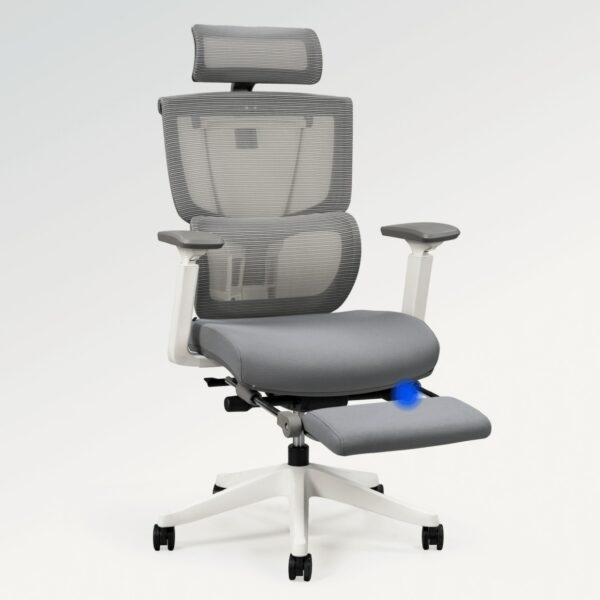 Flexispot Premium Ergo Office Chair (C7 Max) - Image 3