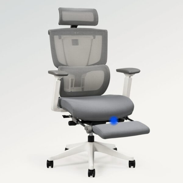Flexispot Premium Ergo Office Chair (C7 Max) - Image 4