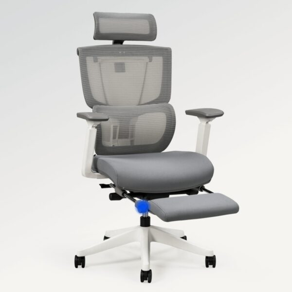 Flexispot Premium Ergo Office Chair (C7 Max) - Image 5