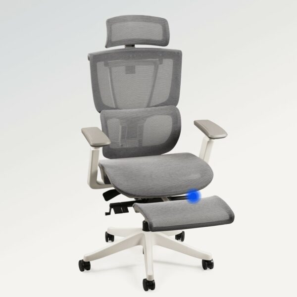 Flexispot Premium Ergo Office Chair (C7 Max) - Image 6