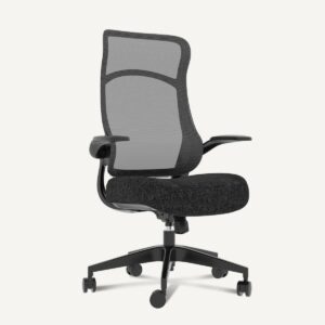 Flexispot Ergonomic Office Chair (C2)
