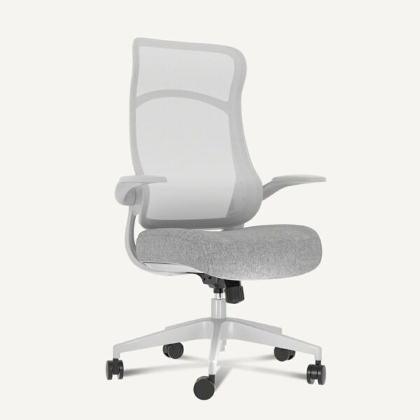 Flexispot Ergonomic Office Chair (C2) - White+Gray
