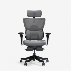 Flexispot Premium Ergo Office Chair (C7 Max)