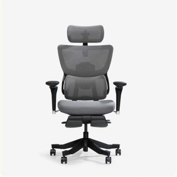 Flexispot Premium Ergo Office Chair (C7 Max)