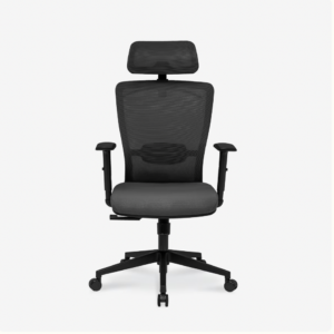 Flexispot  Essential Office chair (OC3)
