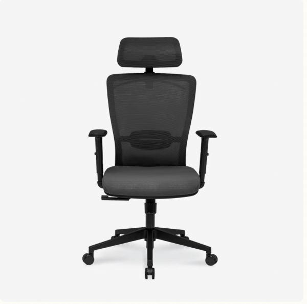 Flexispot  Essential Office chair (OC3)
