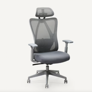 Flexispot Standard Ergonomic Office Chair (C5)