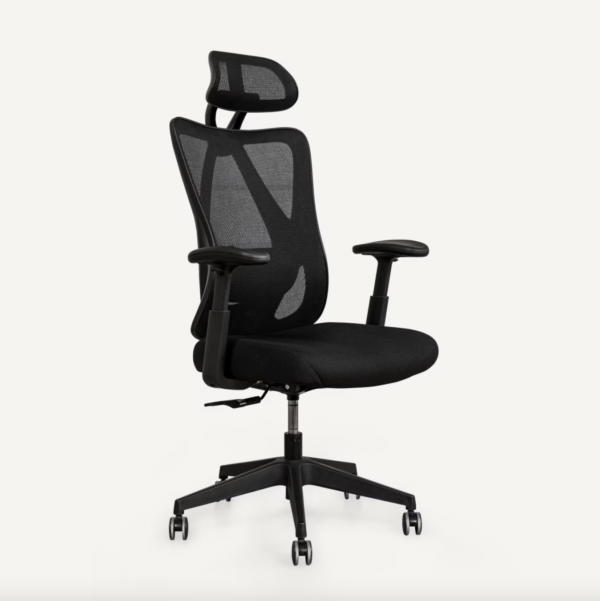 Flexispot Standard Ergonomic Office Chair (C5) - Black