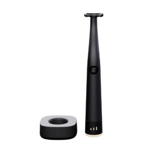 Flaus Electric Flosser